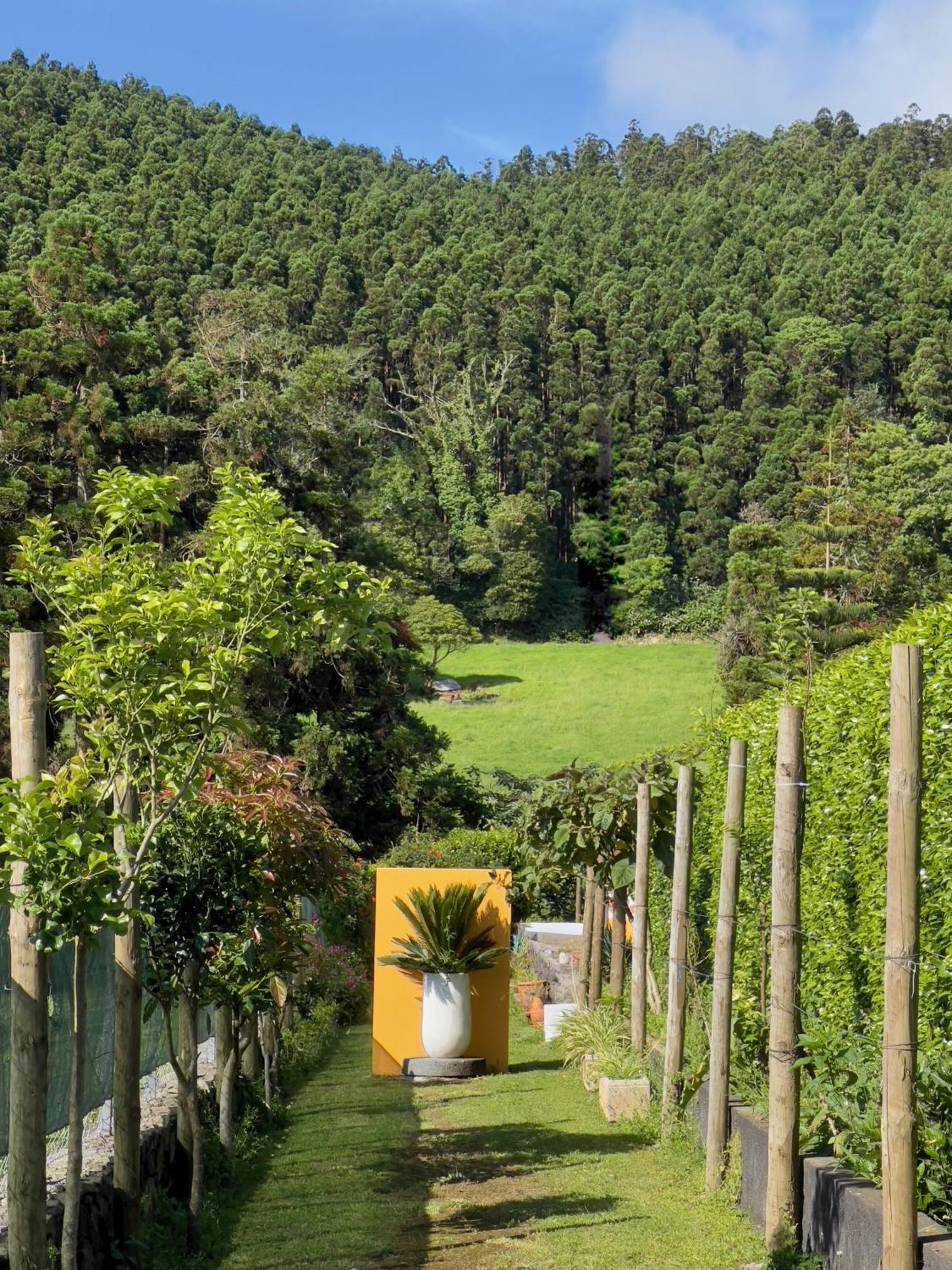 Casa Do Bicho Pau Villa Pedro Miguel Exterior photo